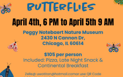 Bunkin with Butterflies